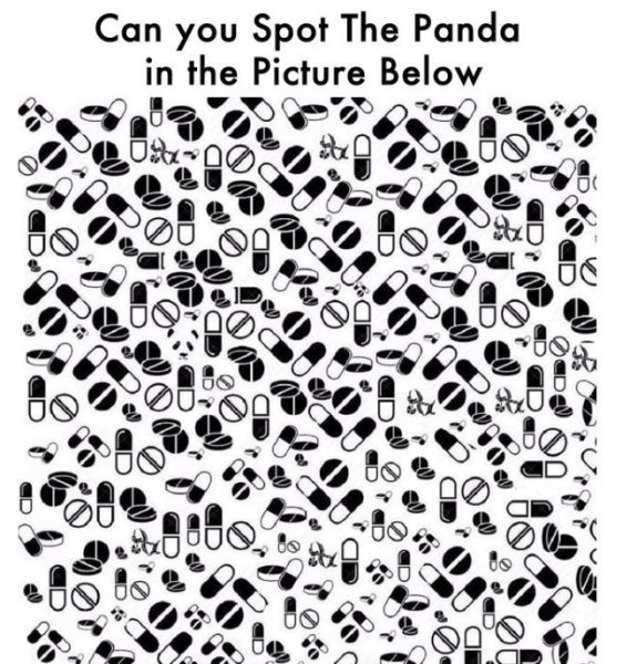 找出那只熊猫