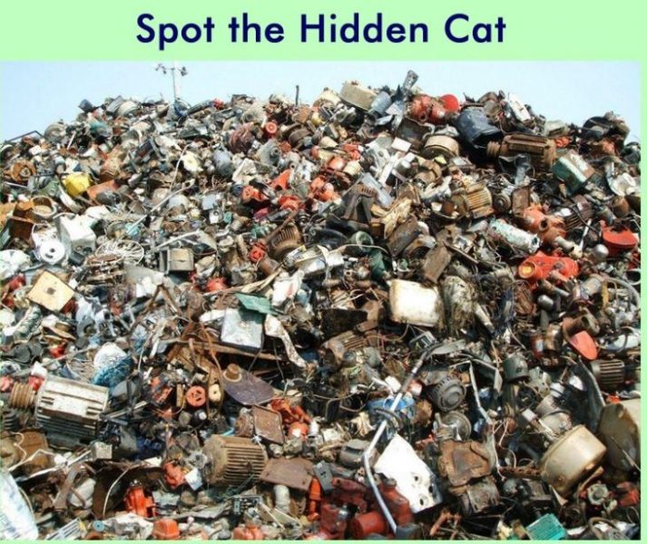 找出隐藏的猫